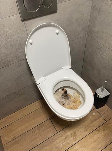 debouchage-wc-fontenay-2 Débouchage wc Fontenay-le-Vicomte (91540) : solution rapide pour des toilettes débouchées sans stress