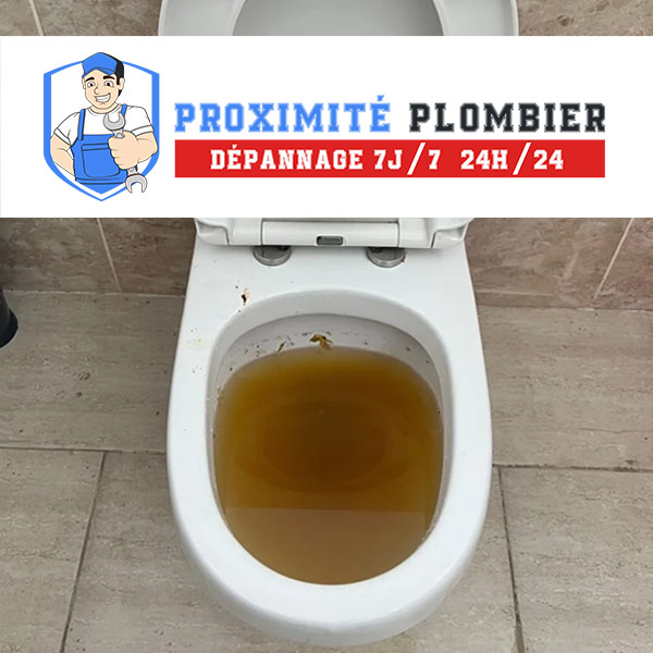 service de débouchage wc à puteaux : intervention rapide et efficace pour toilettes bouchées, 7j/7. solutions professionnelles pour reprendre une utilisation normale de vos sanitaires.