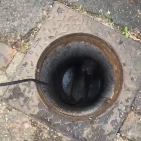 degorgement-wc-guibeville-2 Dégorgement wc Guibeville (91630) : retrouvez des toilettes débouchées en un temps record