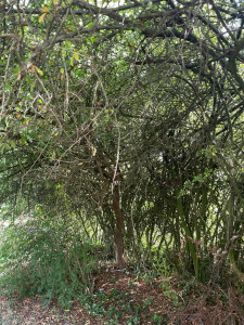 plombier-pecqueuse-1 Dépannage plombier à Pecqueuse (91470) : intervention rapide et efficace pour tous vos soucis de plomberie