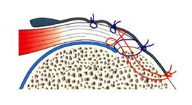 découvrez la refixation : définition, applications et conseils pratiques pour comprendre ce processus essentiel dans divers domaines, de la santé aux techniques industrielles.