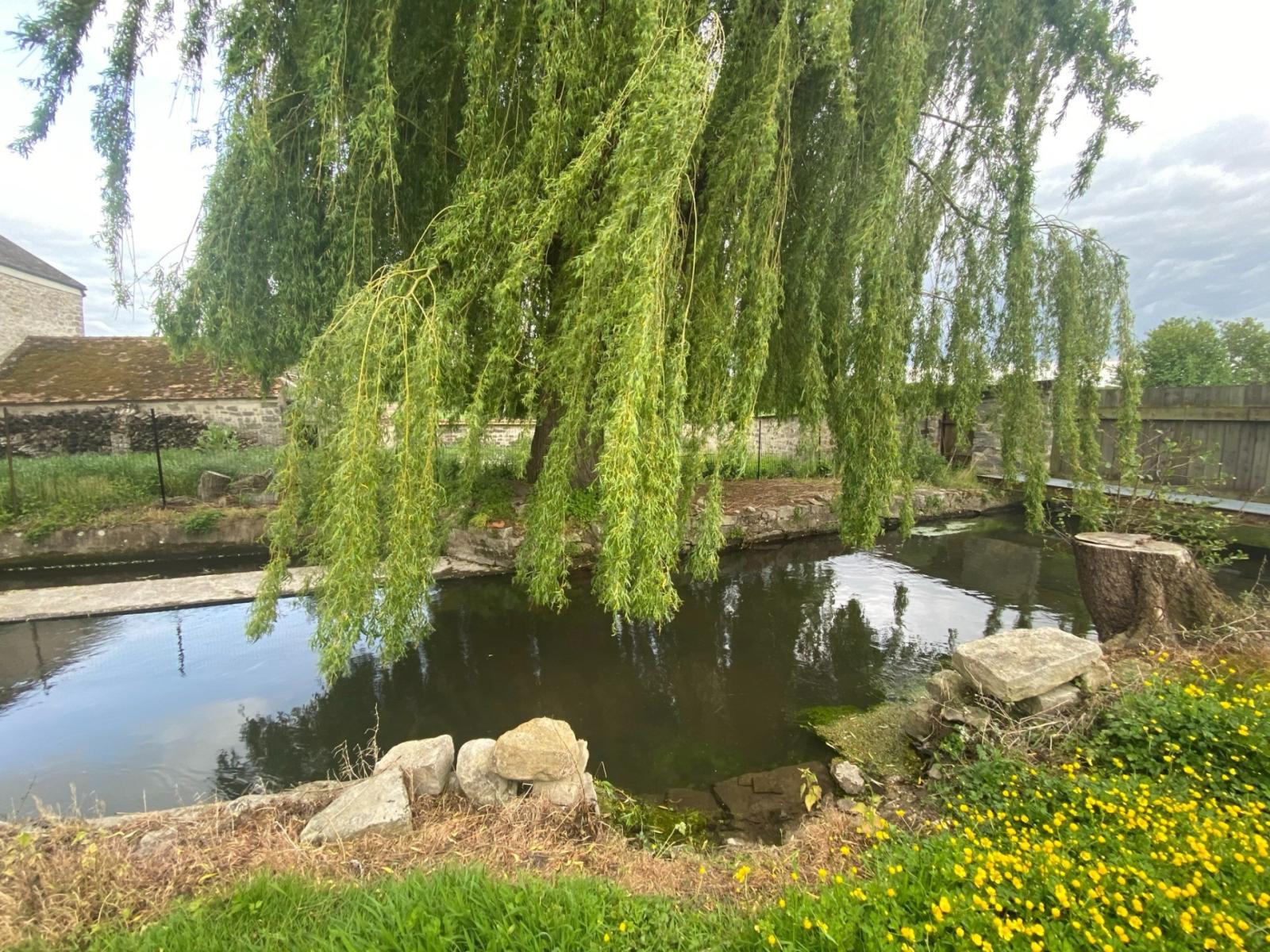 robinet-milly-la-foret-1 Changez de robinet à Milly-la-Forêt (91490) : améliorez votre confort facilement