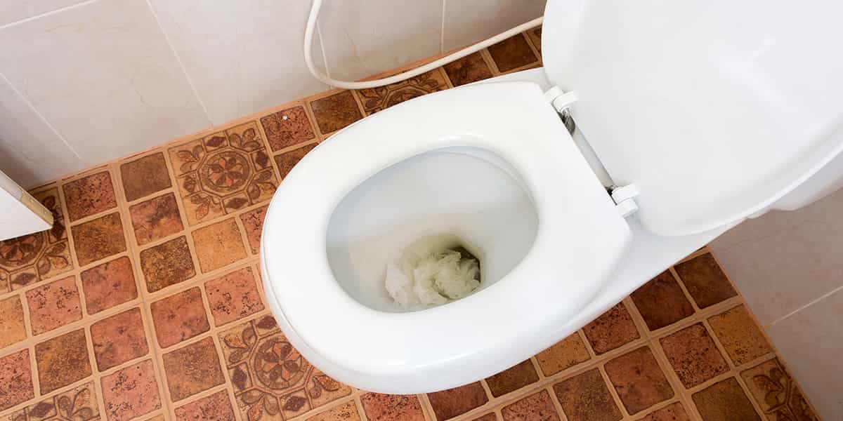 degorgement-wc-germigny-1 Dégorgement wc Germigny-sous-Coulombs (77840) : solution rapide et efficace à votre problème !