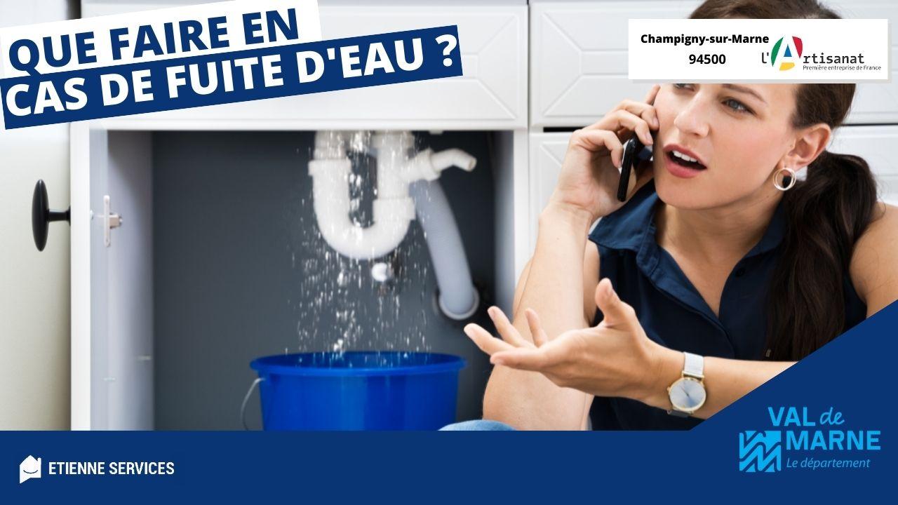 plombier-champigny-1 Dépannage plombier à Champigny-sur-Marne : solution rapide et professionnelle pour toutes vos urgences